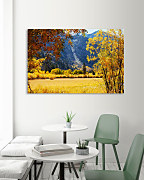 Obraz Babie leto zs1157